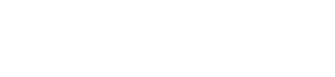 Webster AI
